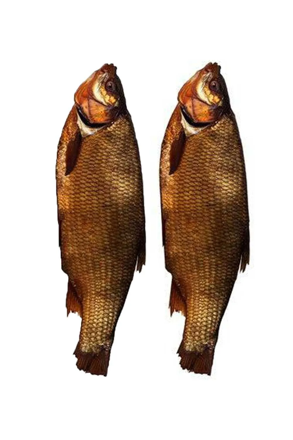 Язь потрошеный х/к