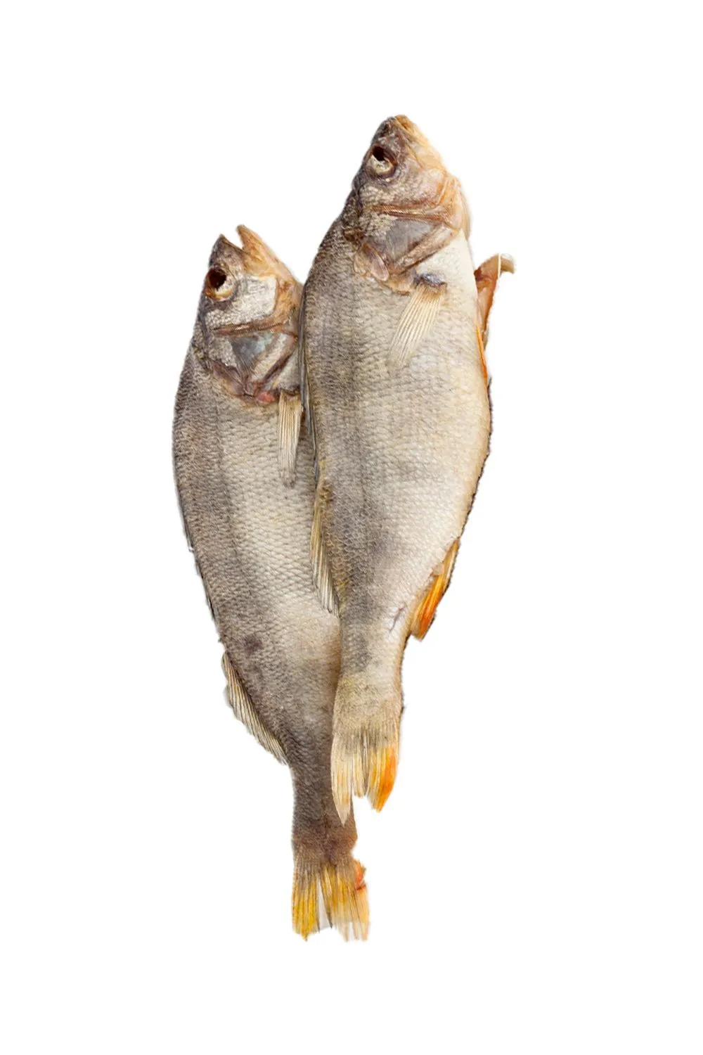 Окунь вяленый (Ростов)