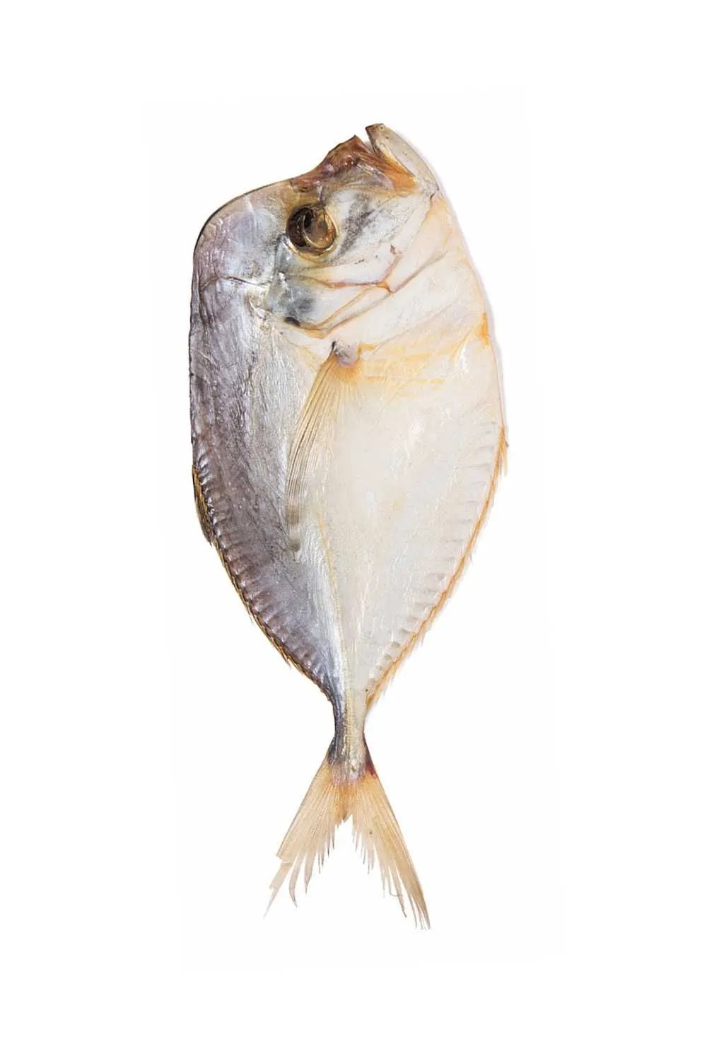 Вомер вяленый