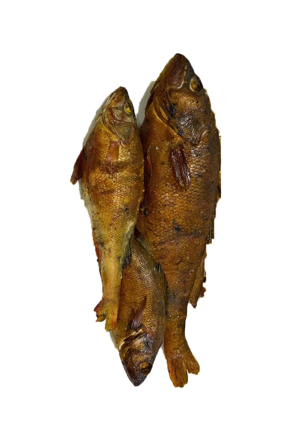 Окунь речной гор/к