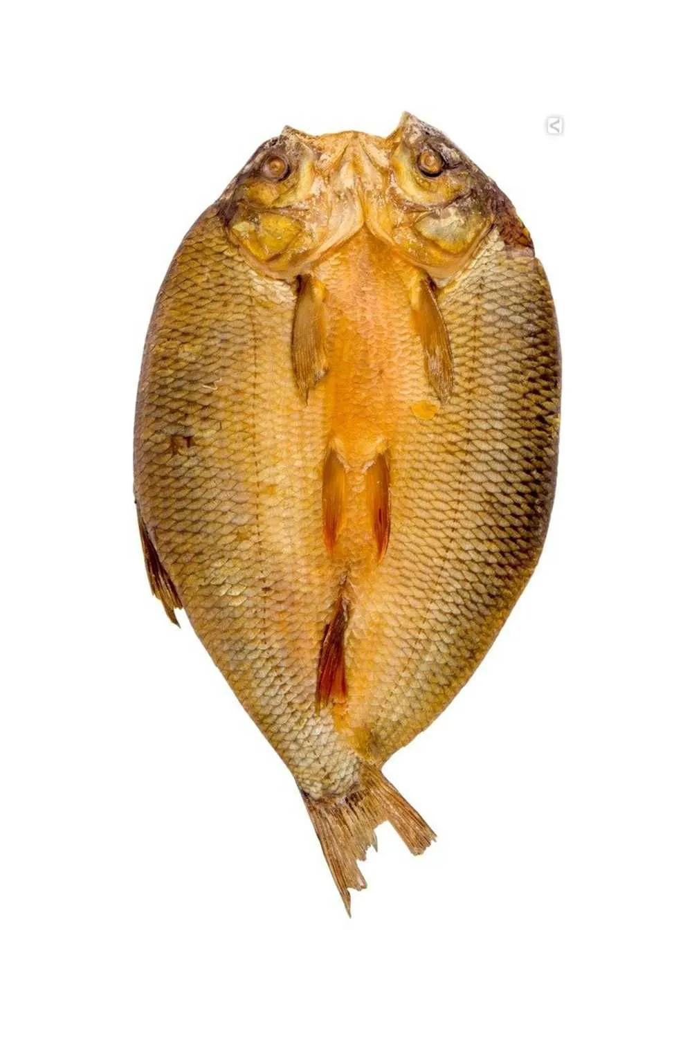 Язь пласт х/к 