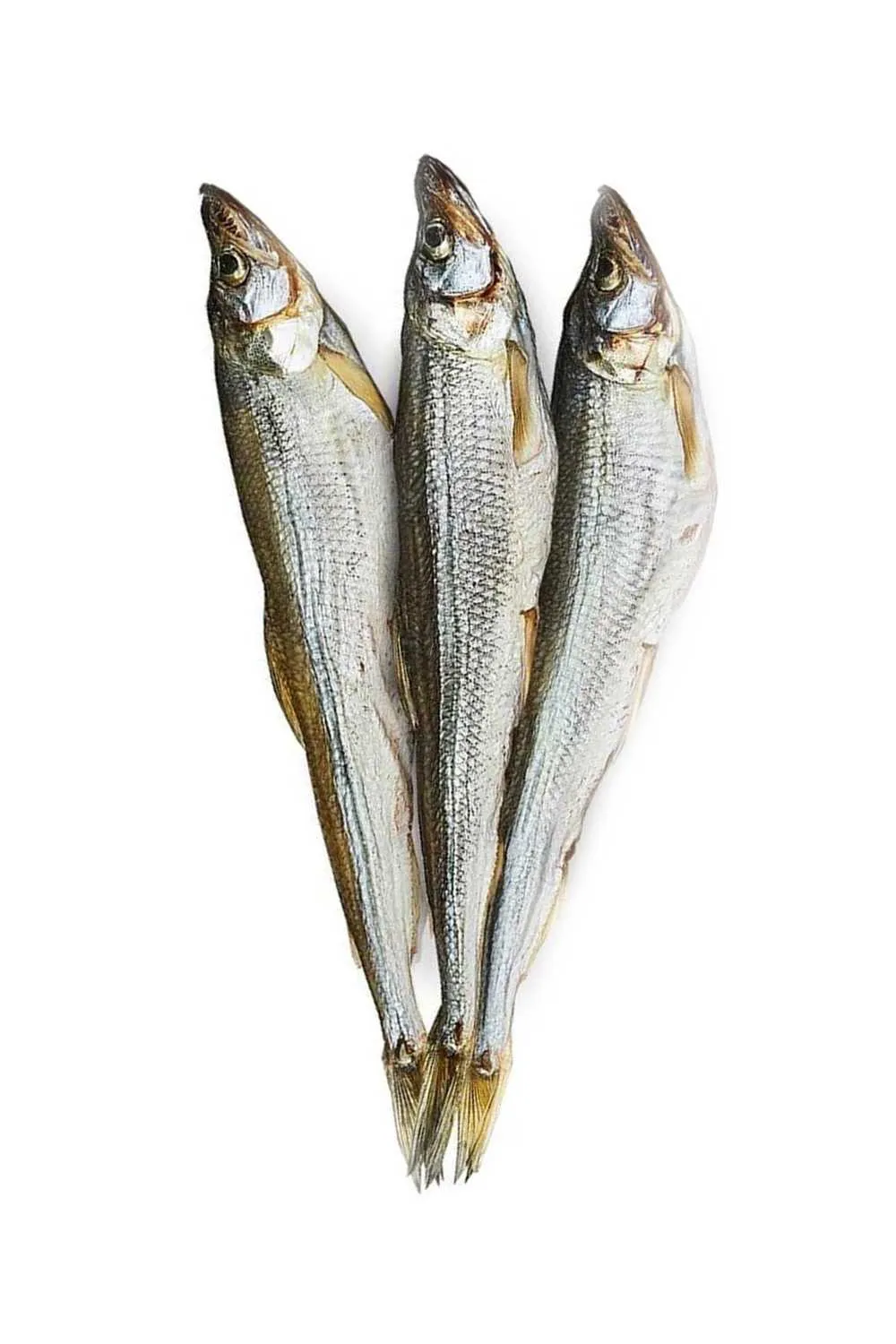 Корюшка вяленая (Сургут)