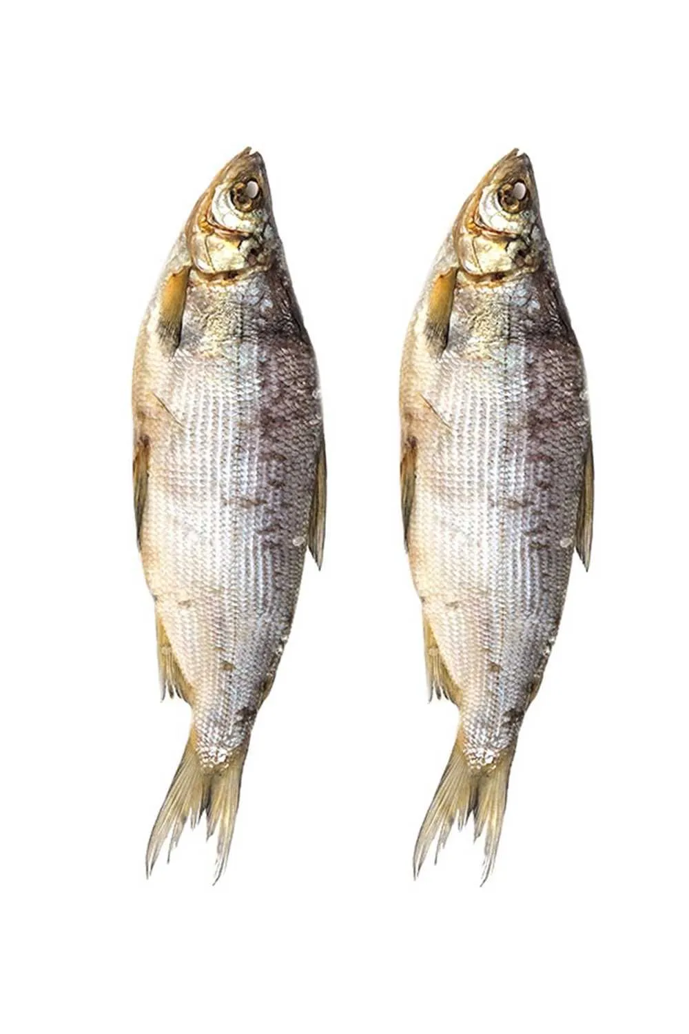 Сырок вяленый